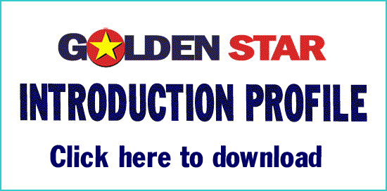 Introduction of Goldenstar Accounting Company